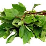 Katta Bhaji - 1 Bundle