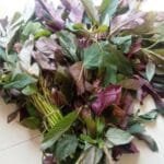 Marsa Bhaji - 1 Bundle