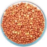 Ground Nut | Peanut