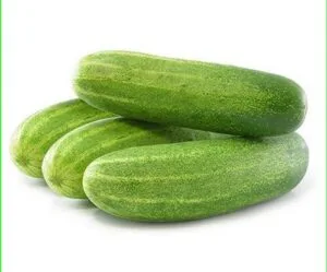 Cucumber | Kheera