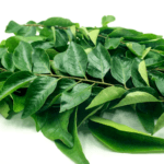 Curry Leaves | Kadi Pattha - 1 Bundle