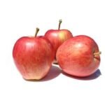 Royal Indian Apple (medium soft)