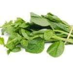 Malabar Spinach | Poie Bhaji - 1 Bundle