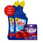 Sanifresh Toilet Cleaner 500ml (Buy 1 Get 1 Free) + Odonil Air Freshner 50gm Free