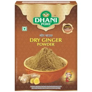 Kwality Dry Ginger Powder 100g