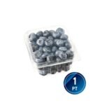Fresh Exotic Blueberry - 1box