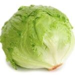 Exotic Ice Berg Lettuce
