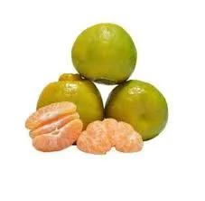 Indian Orange Nagpur, 1kg
