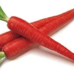 RED CARROT (Flight)