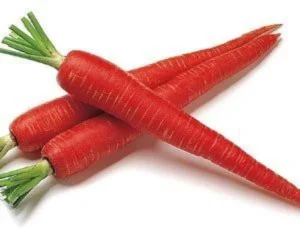 RED CARROT