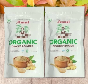 Amul Organic Ginger Powder 100g – Pure, Natural & Fresh Ground Spice (1 Packet)