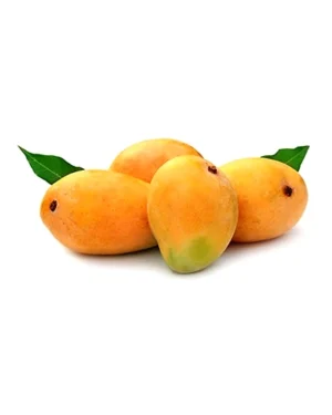 ALPHANSO MANGO