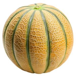 MUSKMELONS