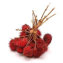 RAMBUTAN